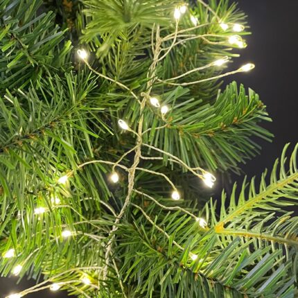 LED Lichterkette leuchtend an Ast vom Weihnachtsbaum