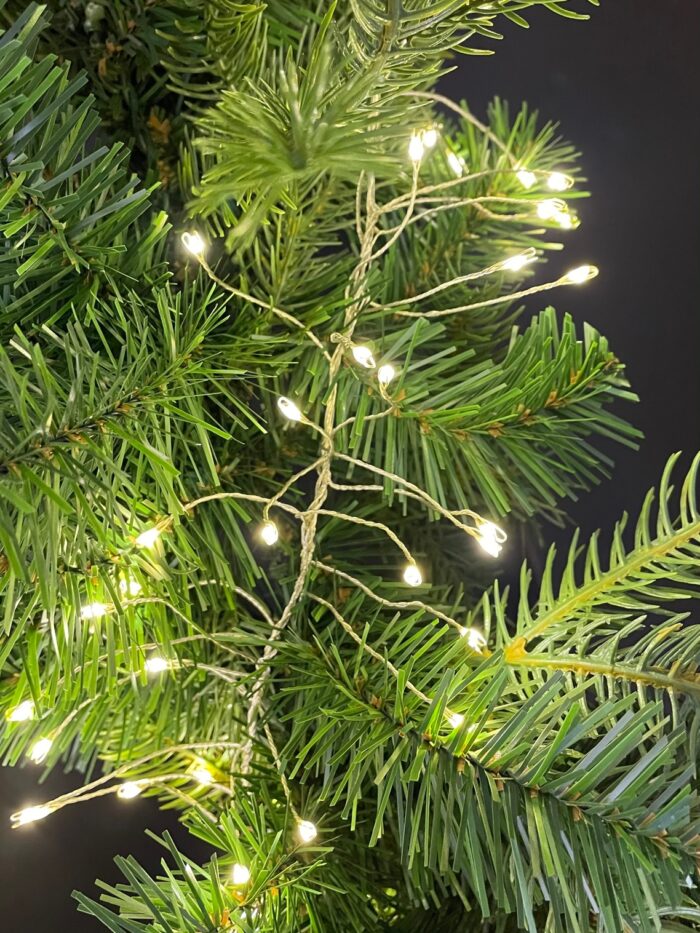 LED Lichterkette leuchtend an Ast vom Weihnachtsbaum