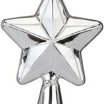 Tannenstern in der farbe Silbe