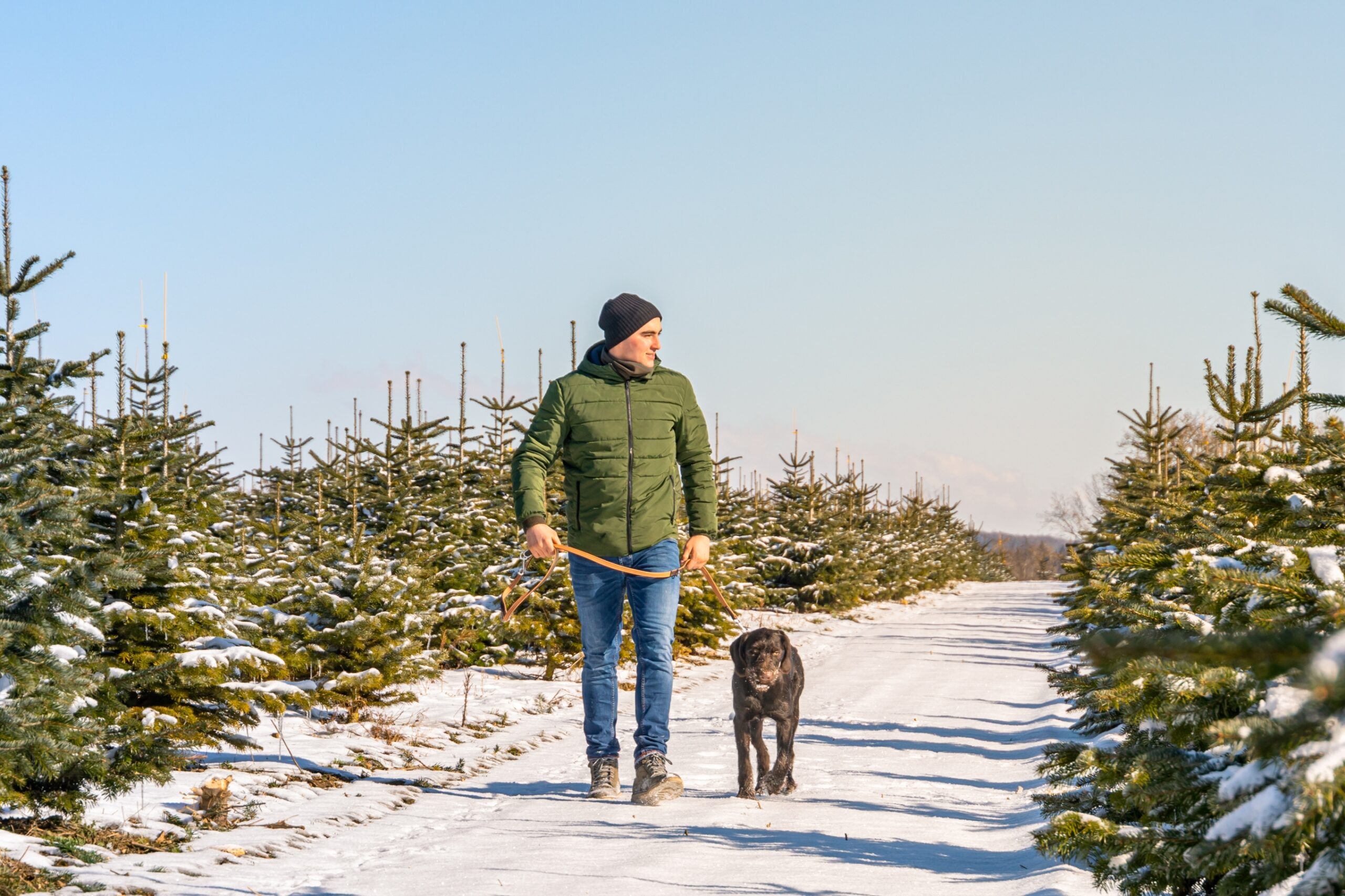 Hannes Stoll Inhaber Meine Tanne mit Hund in Kultur bei Weihnachtsbaum
