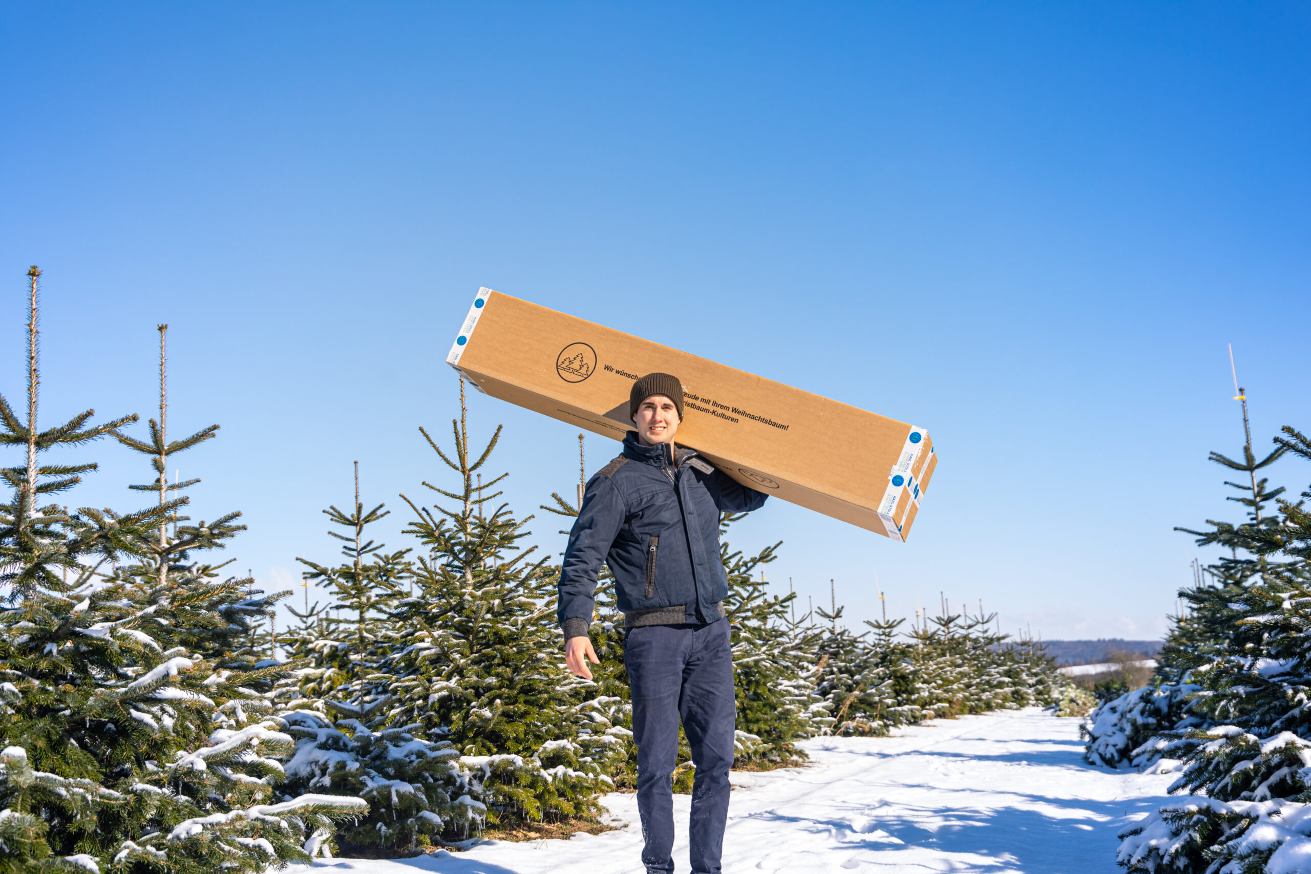 Peter Stoll mit Karton für Versand von Weihnachtsbaum in Nordmanntannenkultur