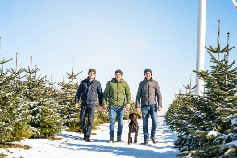 Inhaber Meine Tanne in verschneiter Kultur mit Weihnachtsbäumen