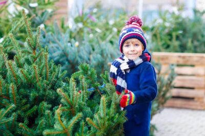 Junge mit blauroter Bommelmütze in blauem Mantel und roten Handschuhen sucht sich am Stand Weihnachtsbaum aus