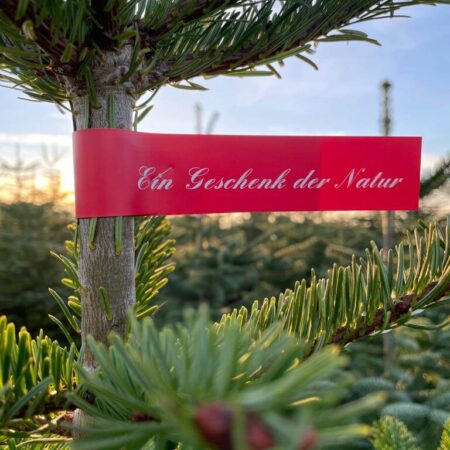 Weihnachtsbaum mit rotem Etikett "Ein Geschenk der Natur"