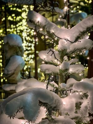 Weihnachtsbaum mit Lichterkette und Schnee