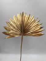 Trockenpflanze goldenes Palmblatt