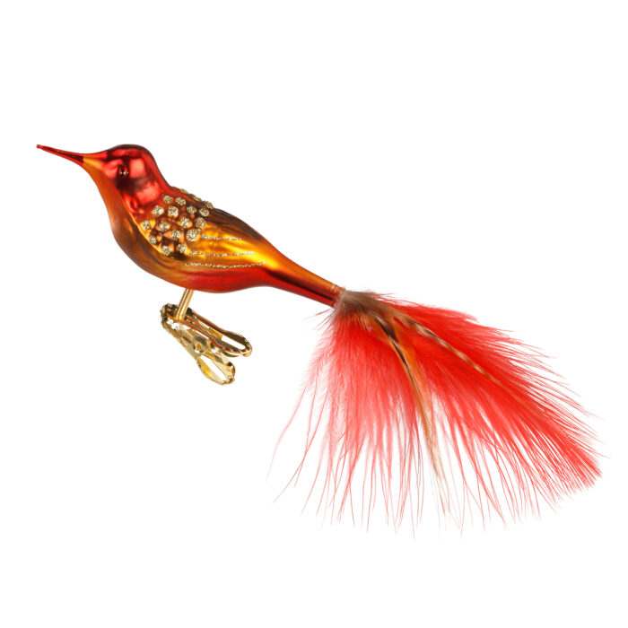 Glasvogel in Rot, mit goldenen Flügel und roter Schwanzfeder