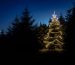 kleineres Bild des beleuchteten Weihnachtsbaum in Kultur