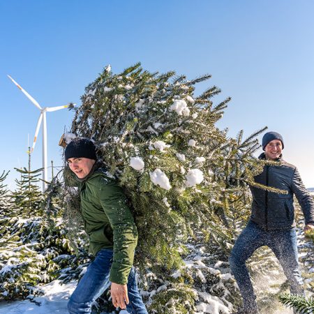weihnachtsbaum-online-kaufen-hannes-karl-baum-tragen-in-kultur(1) Hannes- und Karl Stoll beim Tragen einer Nordmanntanne